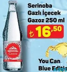 SERİNOBA GAZLI İÇECEK GAZOZ 250 ML fiyat ve kampanya bilgisi